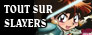 Tout sur slayers